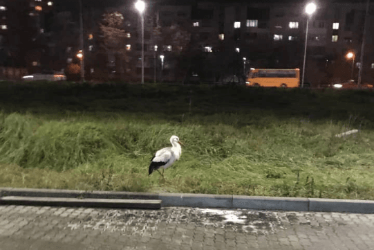 Фото: Фейсбук