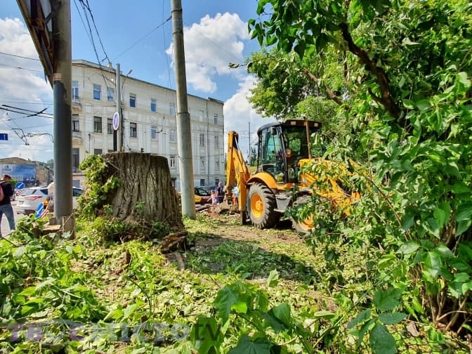 У межах реконструкції перехрестя Чорновола – Під Дубом у Львові зрізали тополі