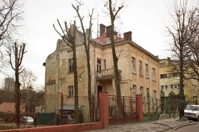 Забудовник відкликав звернення щодо будівництва біля історичної вілли «Людмила» у Львові: деталі