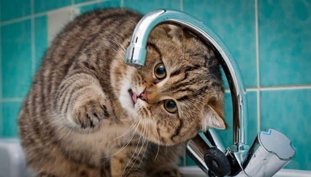 Понад 50 вулиць Львова будуть без води. Перелік адрес