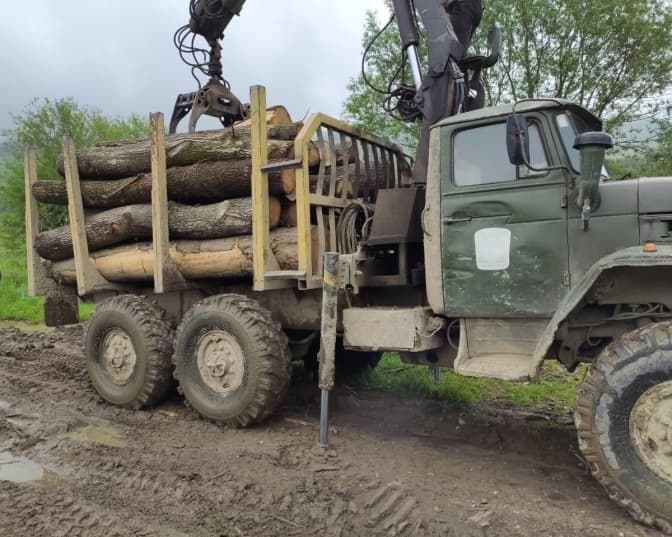 На Львівщині викрили «чорних лісорубів»