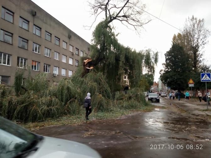 У Львові ліквідовують наслідки негоди. Адреси