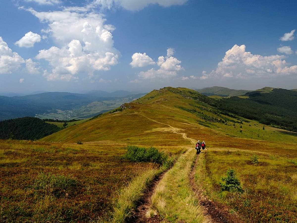 Гора Парашка / фото: karpaty.rocks