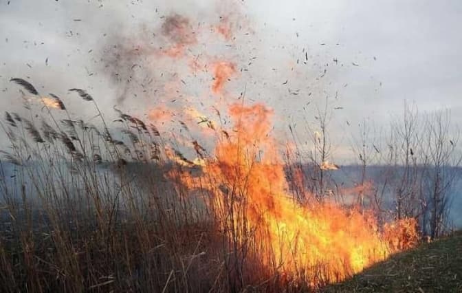 Львів'ян попереджають про високий рівень пожежної небезпеки