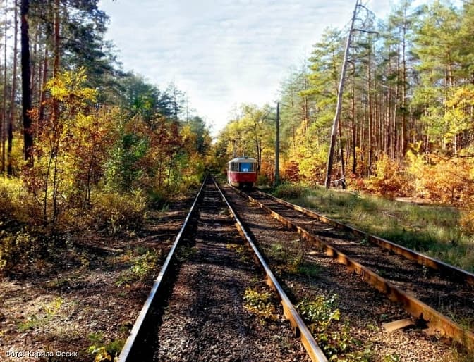 В’їзд до Пущі-Водиці обмежили на невизначений час
