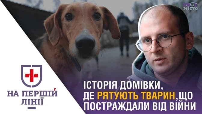 На першій лінії. Історія Домівки, яка рятує тварин, що постраждали від війни