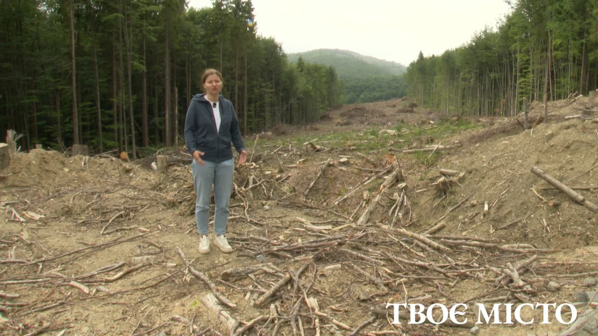 Лише 3% вітряків Європи - в горах. Екологи говорять про серйозну загрозу для Карпат