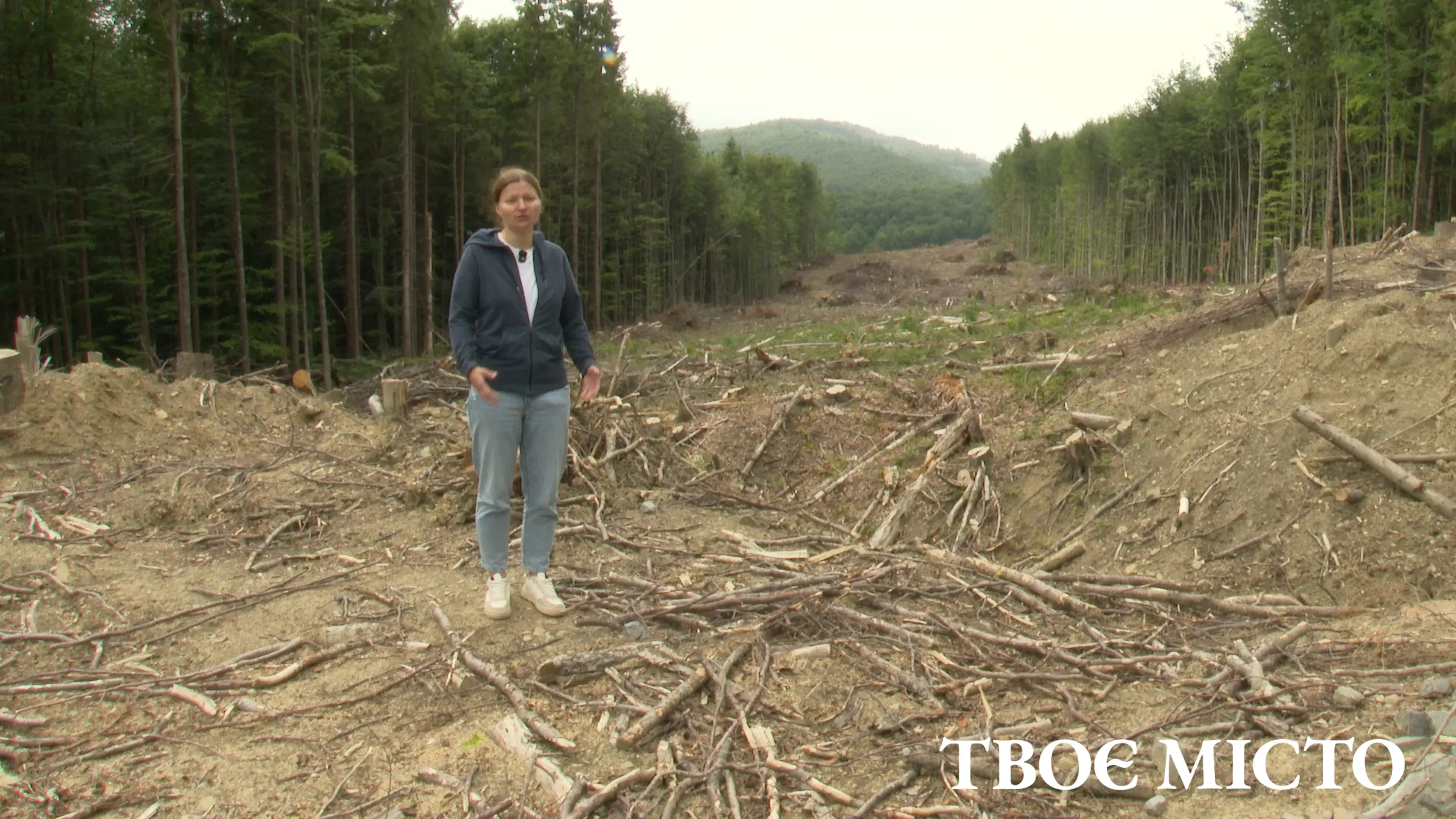 Для транспортування виробленої електроенергії вітряками на полонині методом масштабної рубки прокладають 18-кілометрову трасу для ЛЕП