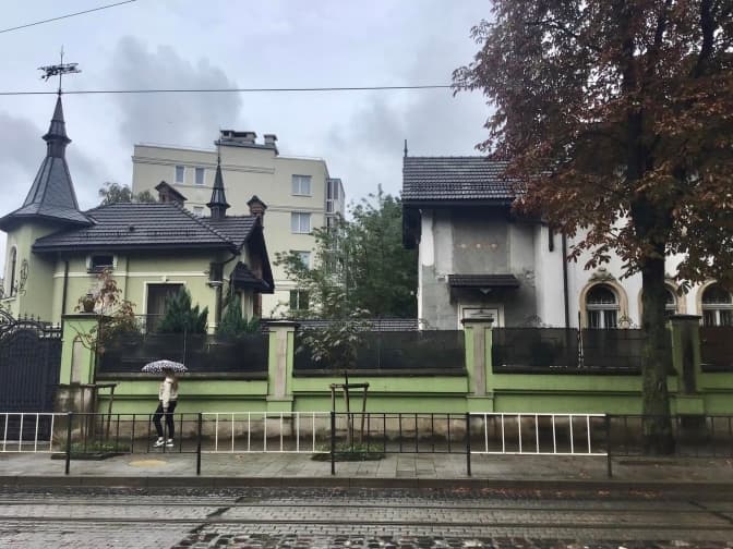 Стало відомо, чому довелося зрізати 15 столітніх гіркокаштанів на вулиці Коновальця