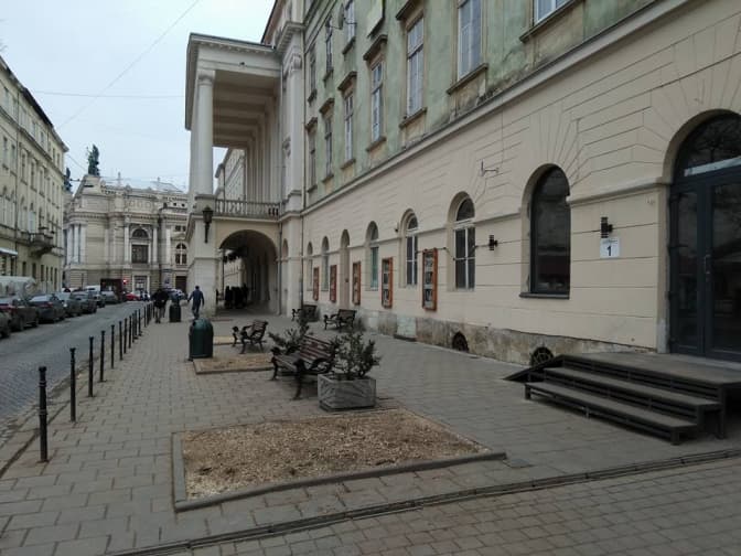 Біля театру Заньковецької зрізали аварійні каштани. Фото