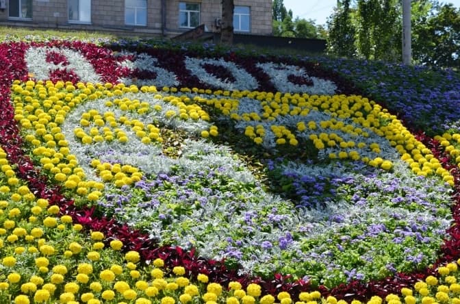 На Печерську в Києві створили квіткове панно на честь полку «Азов». Фото