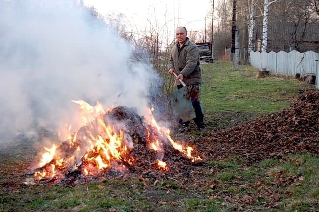 «Сонце у диму». Львів’ян закликають не палити траву і не нищити живність