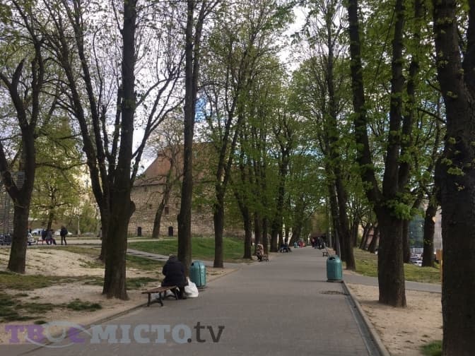 Чи стало повітря у Львові чистішим за час карантину. Результати дослідження