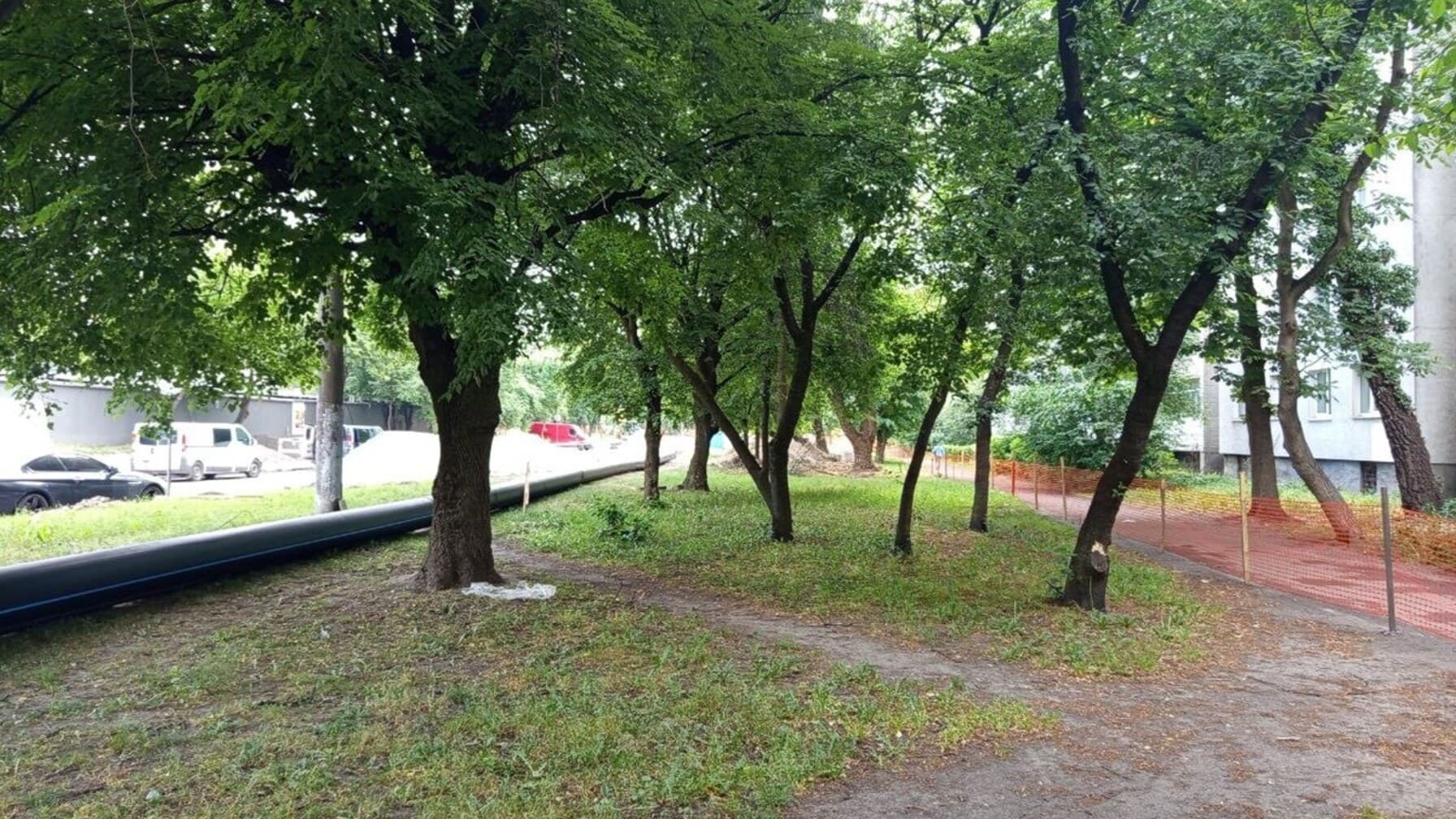 На Мазепи висадять 108 дерев і збережуть понад 200 / фото ЛМР