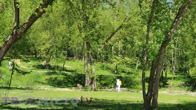 Обробку львівських парків від кліщів переносять