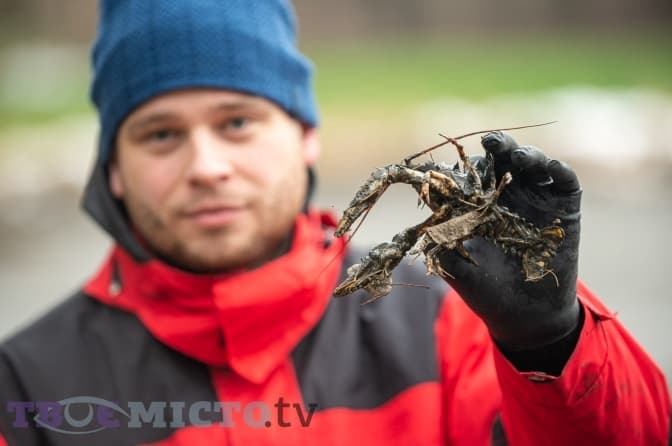 Зловили понад 200 кг риби і двох черепах. Фоторепортаж з очистки Піскових озер