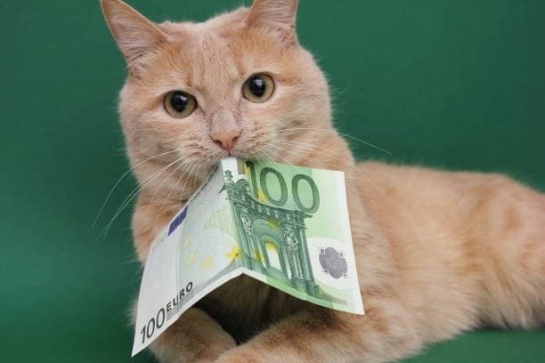 ЄС схвалив виділення Україні 9 млрд євро фінансової допомоги