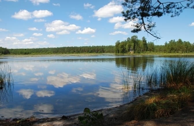 Фото умовне