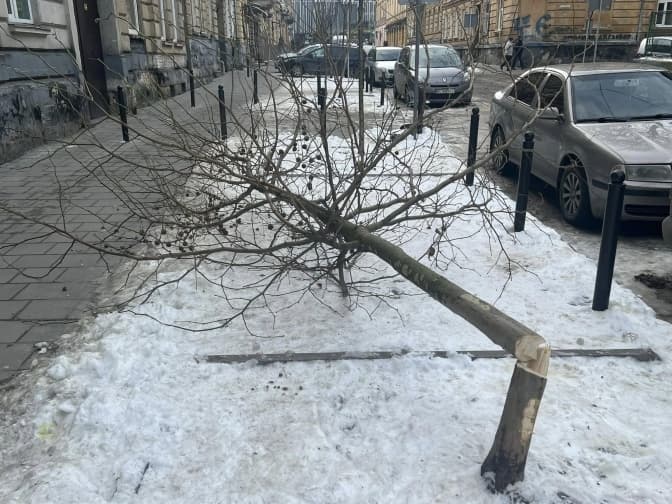 Фото: Сергій Івах