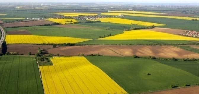 Десять земельних ділянок на Львівщині виставили на торги