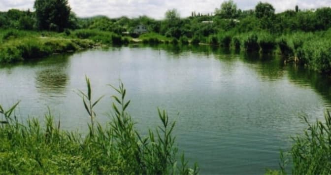 Суд повернув громаді понад 97 га землі зі ставком на Львівщині