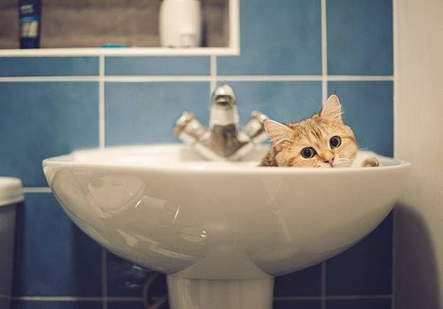 Низка вулиць Львова тимчасово буде без води. Перелік