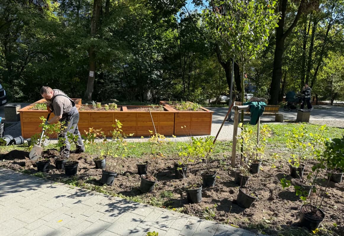 Висаджування рослинності у парках Львова / фото: ЛМР