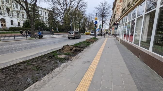 До кінця тижня на вулиці Бандери розпочнуть висаджувати 60 дерев