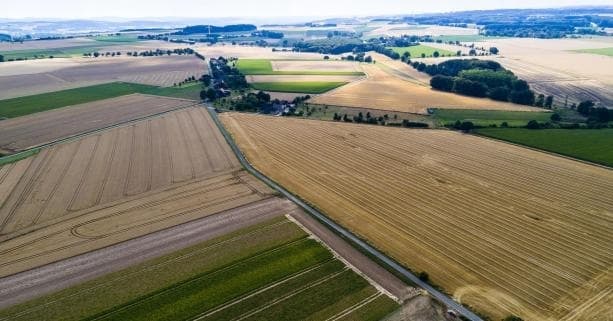 Дружина депутата Львівської райради придбала 34 сотки землі біля Львова