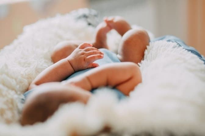 Фото: promum