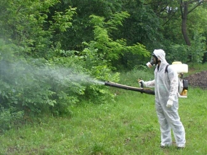 У парках Дніпровського району Києва труять кліщів
