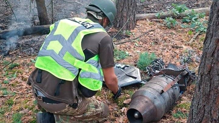 Невидима загроза між дерев: киянам терміново заборонили ходити до лісу