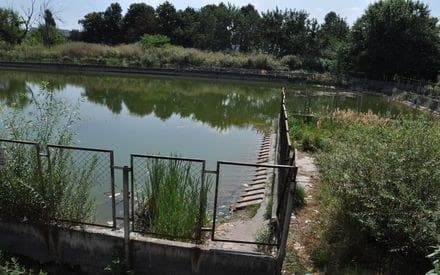 Фото: прес-служба ЛМР