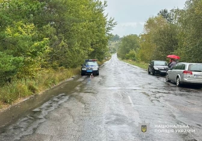 На Львівщині розшукали водія, який смертельно збив пішохода і втік з місця ДТП