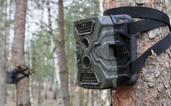 У Львівській громаді з допомогою фотопасток виявлятимуть тих, хто викидає сміття в недозволених місцях