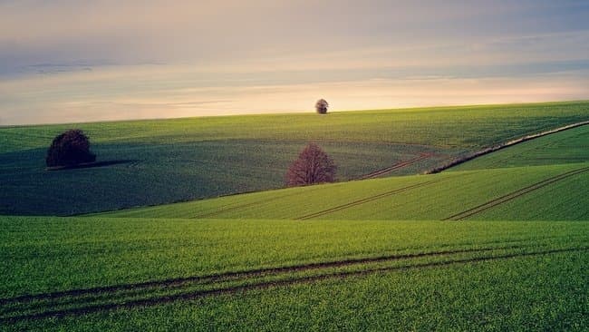 Умовне фото