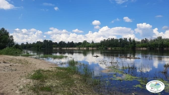 У Десні під Києвом зафіксували найнижчий рівень води за останні 100 років