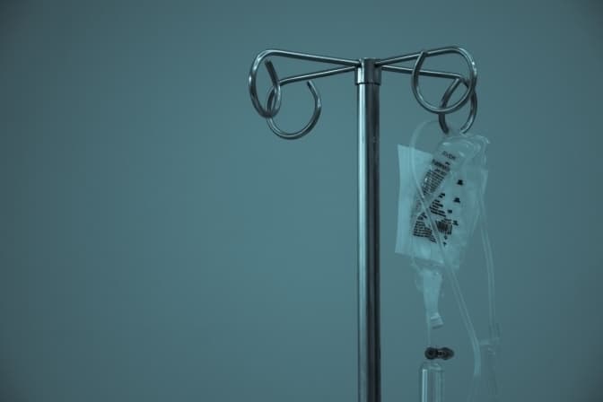 Двоє підлітків із Львівщини потрапили до лікарні через укус змії. Як вберегтися
