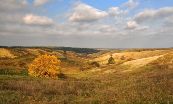 Землі ландшафтного парку «Трахтемирів» на Київщині вартістю понад 50 мільйонів повернули державі