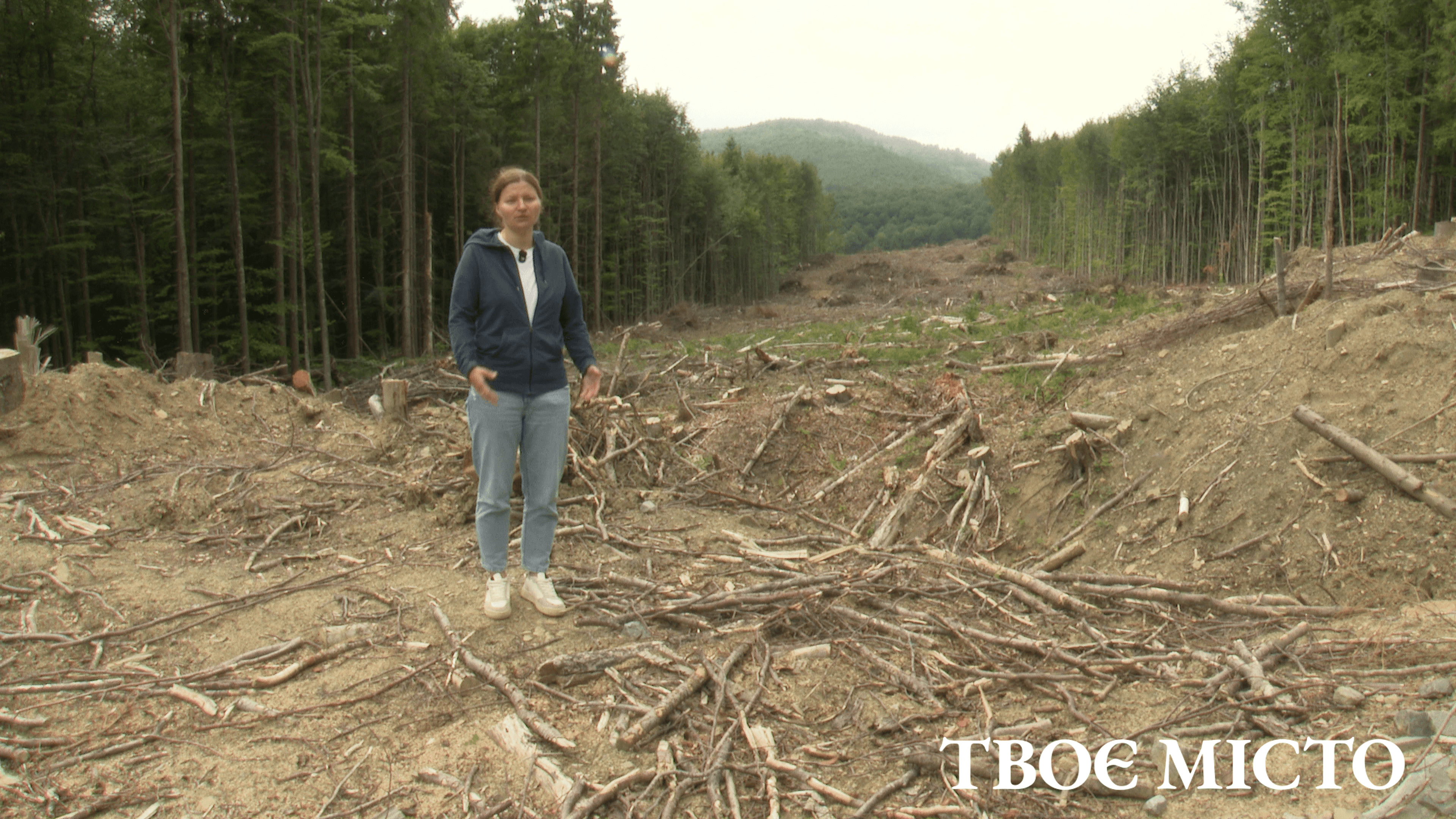 Для транспортування виробленої електроенергії вітряками тут методом масштабної рубки прокладають 18-кілометрову трасу для ЛЕП