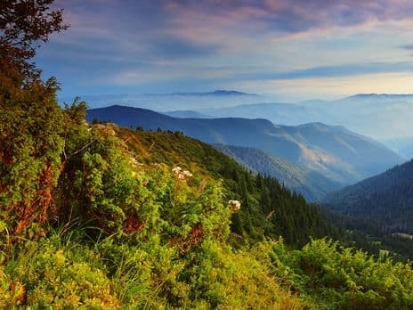 Землі заповідника «Королівські Бескиди» на Львівщині незаконно передали у приватну власність
