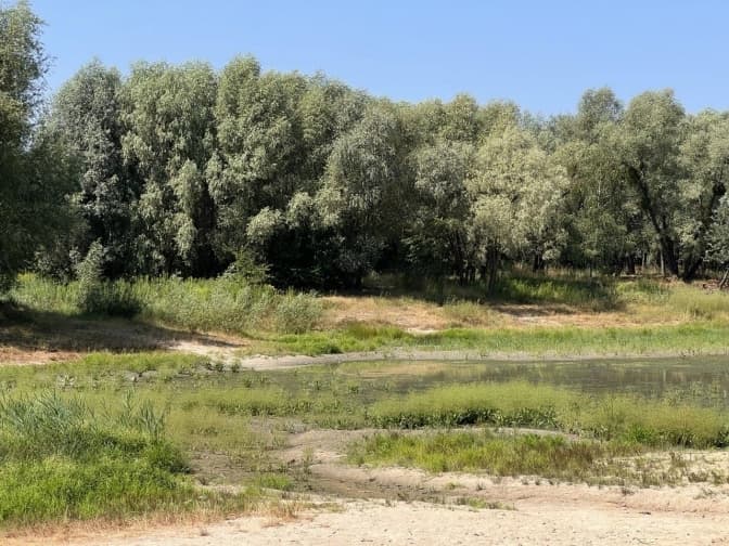 Тендер на порятунок озера Синє в Києві знову провалився