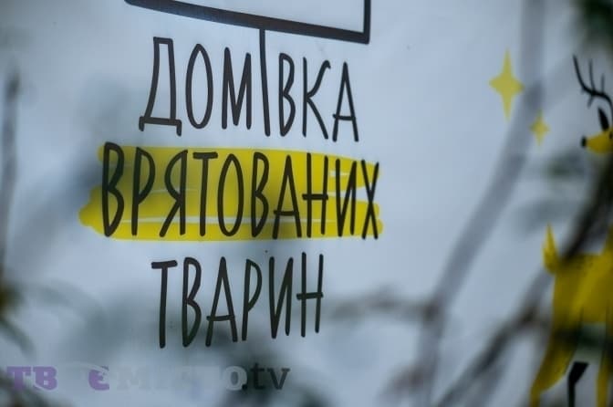 У львівській «Домівці врятованих тварин» відбудеться «Базар Добра»