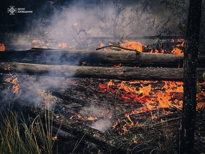 У Чорнобильській зоні пожежа охопила 550 гектарів