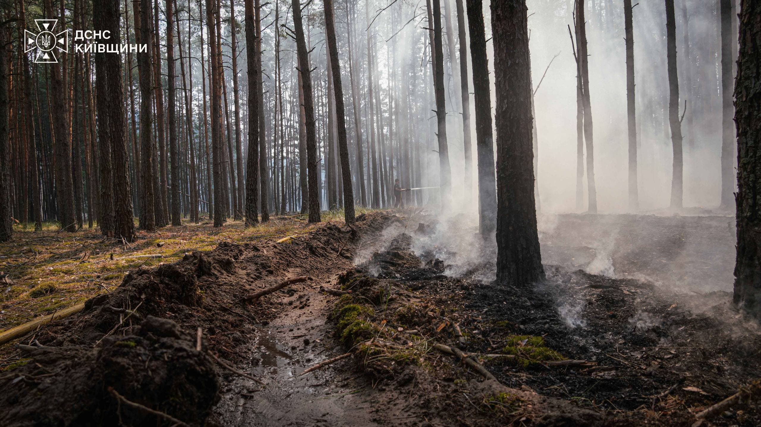 Фото: ДСНС