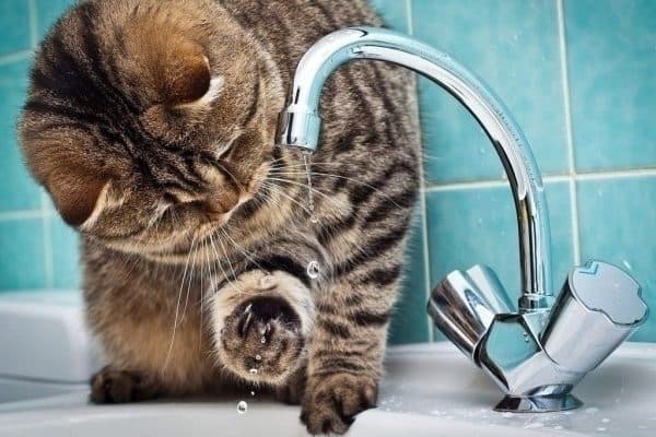 Низка вулиць Львова тимчасово буде без води. Перелік адрес
