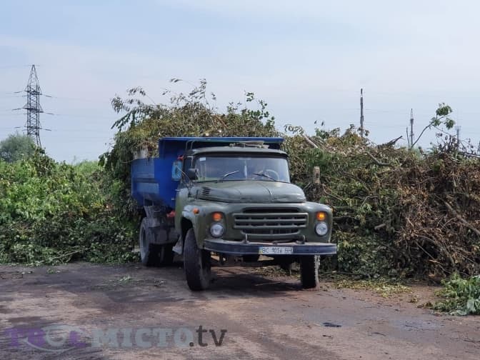 Як переробляють дерева, які постраждали від буревію у Львові. Відео