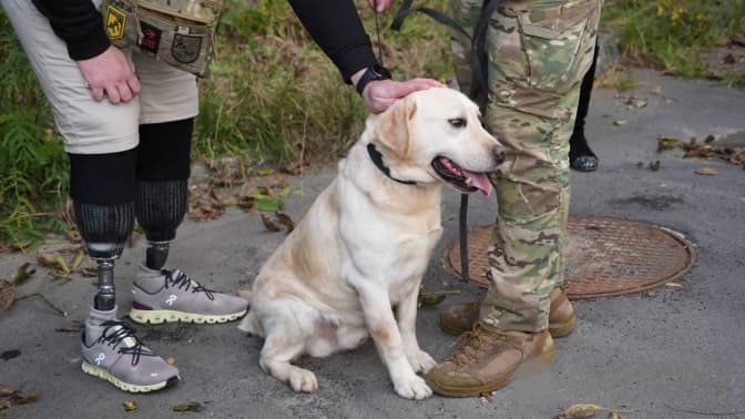 На Львівщині собаки-поліцейські підтримують захисників під час реабілітації