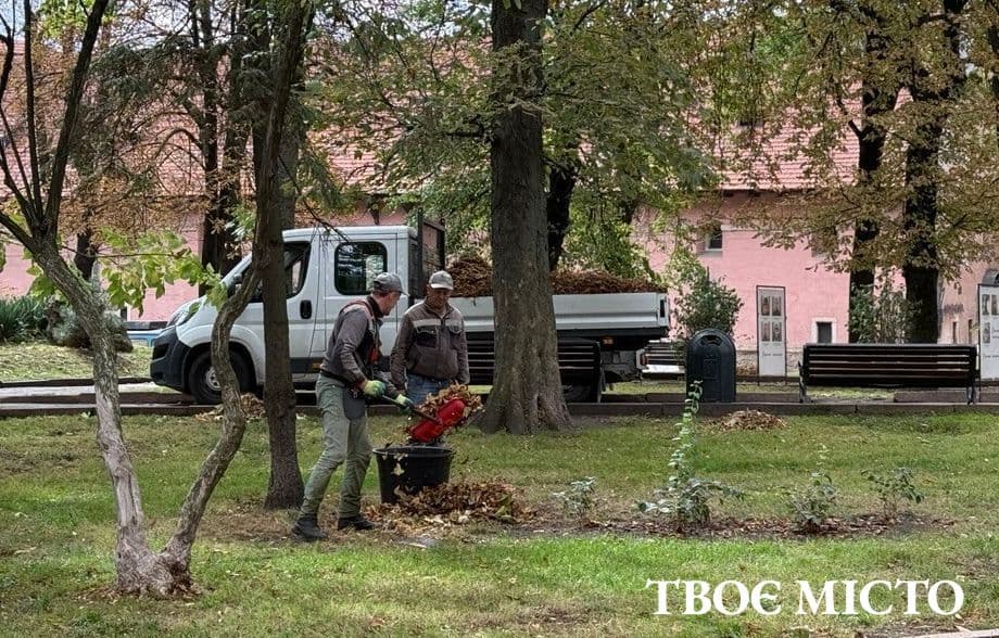 У Львові почався сезон прибирання листя