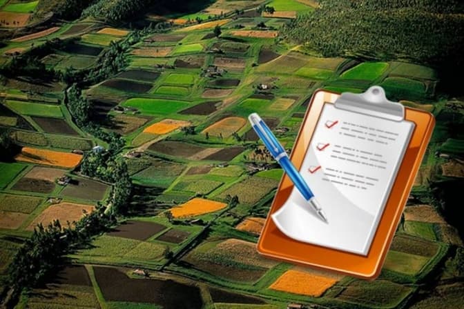 Лісову ділянку у Брюховичах вартістю 12 млн грн повернули у державну власність